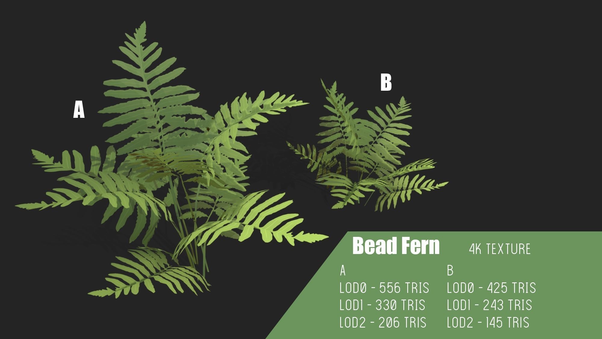 Stylized Fern Plant Pack 1 3D model_2