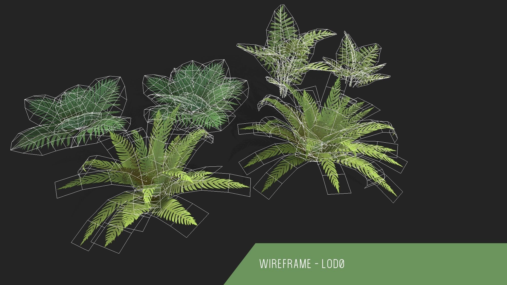 Stylized Fern Plant Pack 1 3D model_4