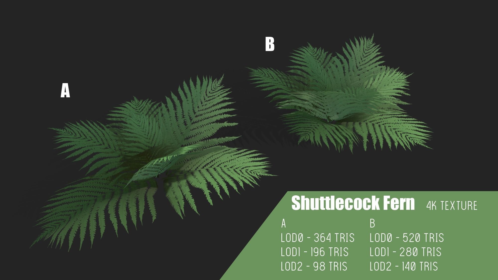 Stylized Fern Plant Pack 1 3D model_3