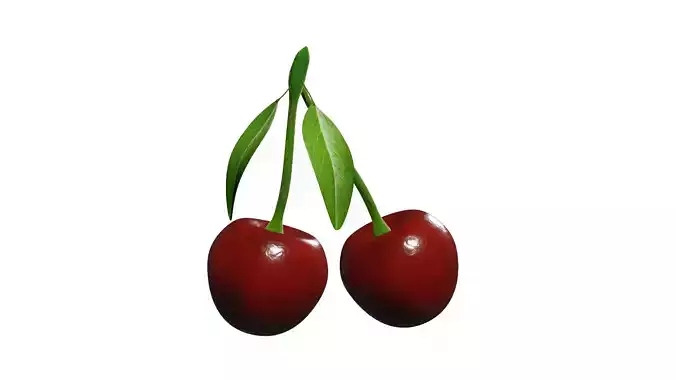 Cherry Fruit 3D model