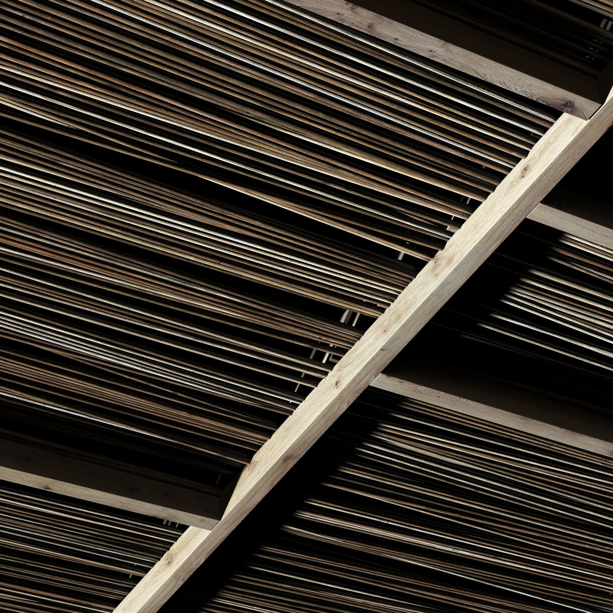 Ceiling straight thin branch n2 3D model_9