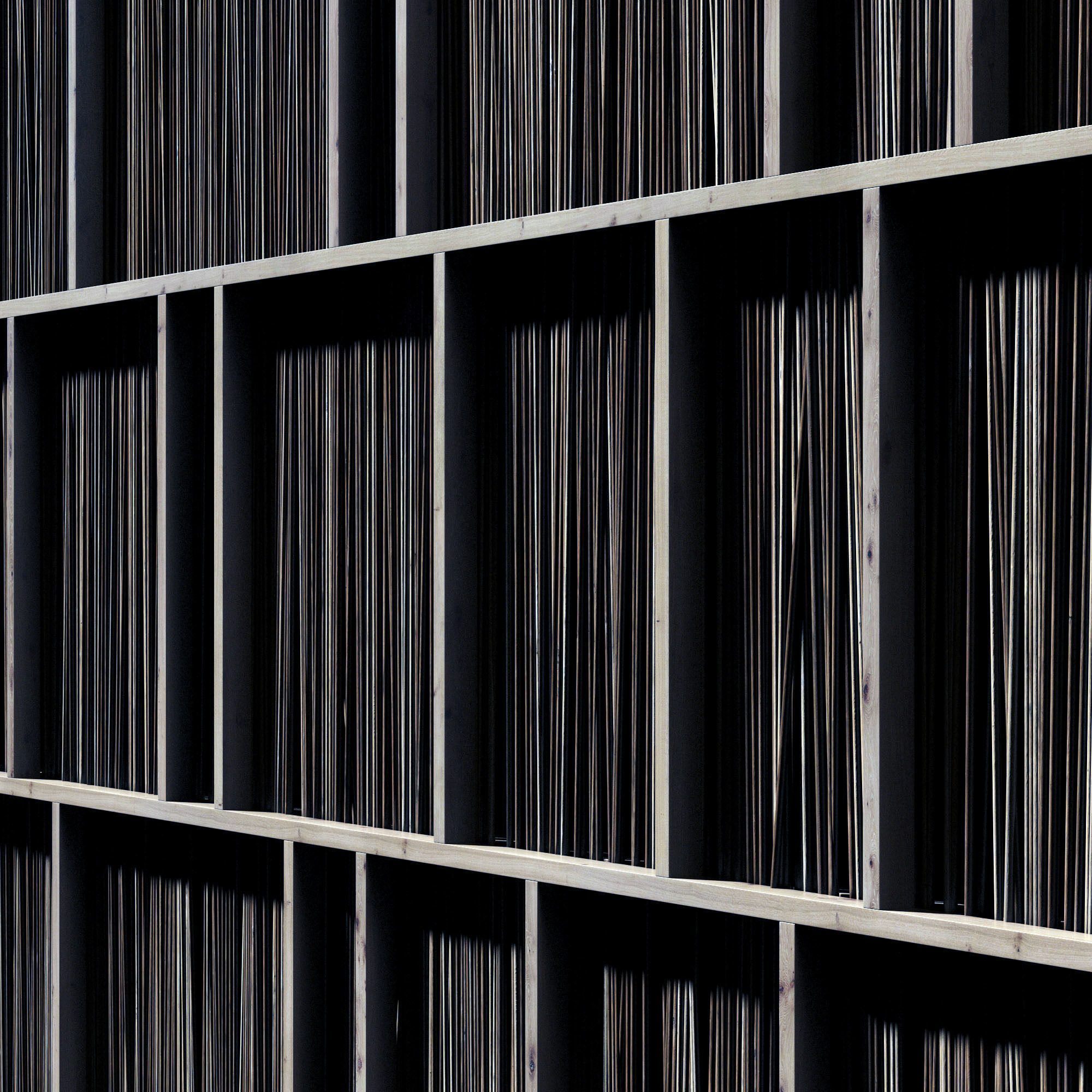 Ceiling straight thin branch n2 3D model_2