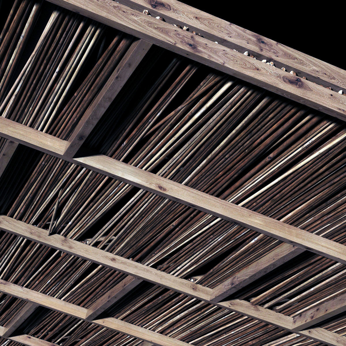 Ceiling straight thin branch n2 3D model_13