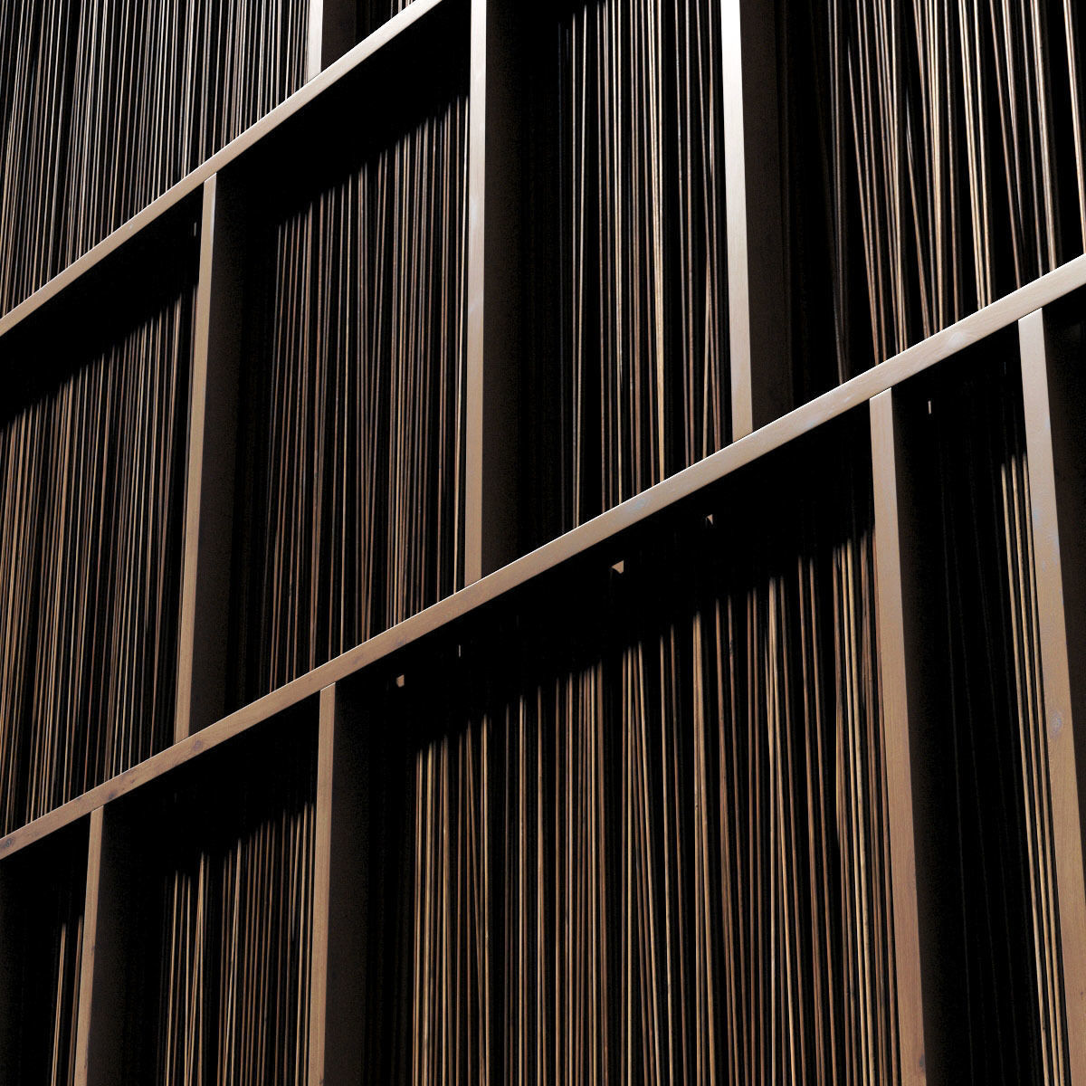 Ceiling straight thin branch n2 3D model_6