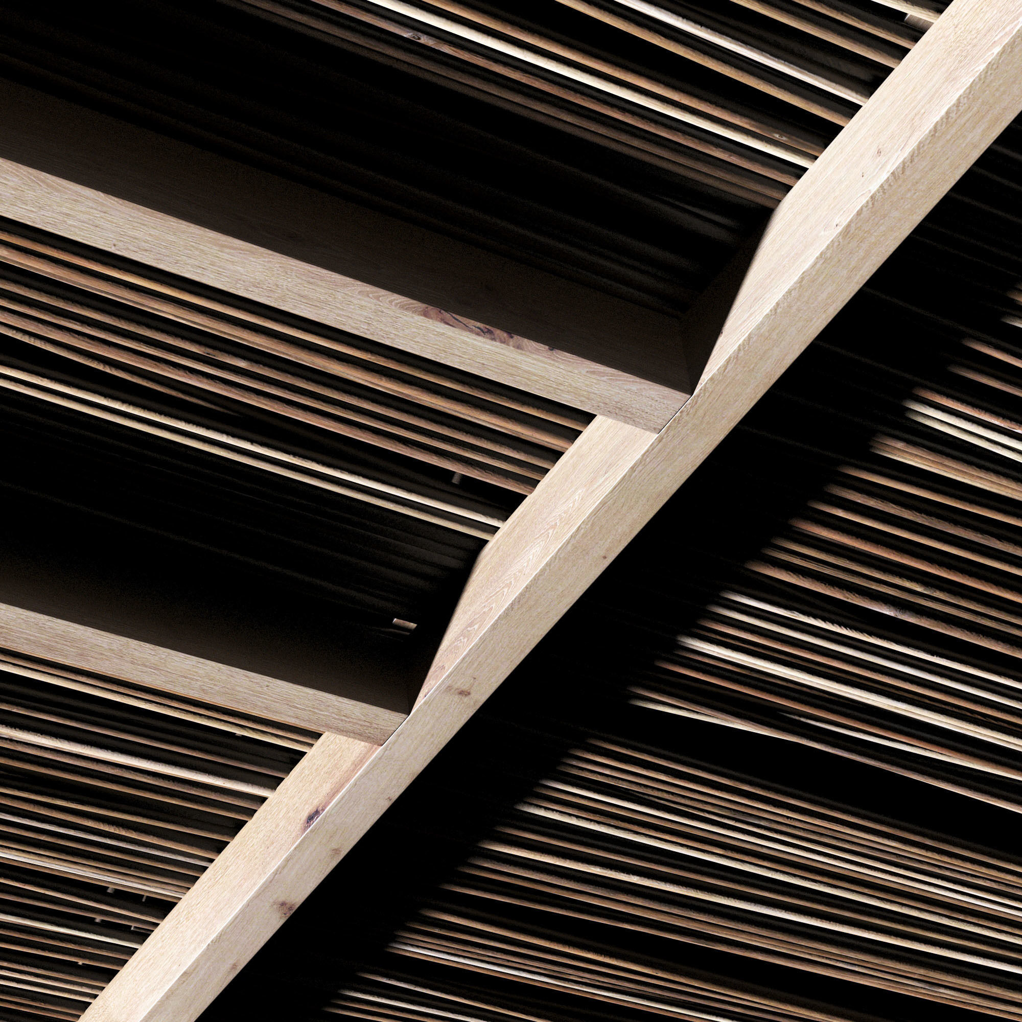 Ceiling straight thin branch n2 3D model_10