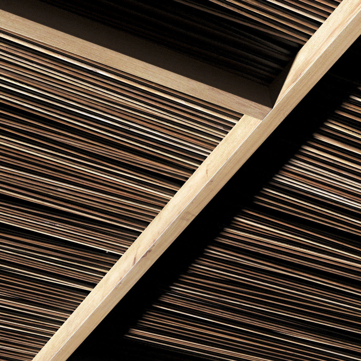 Ceiling straight thin branch n2 3D model_11