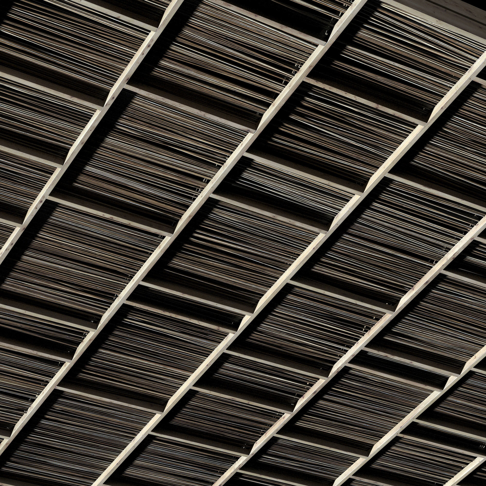 Ceiling straight thin branch n2 3D model_8