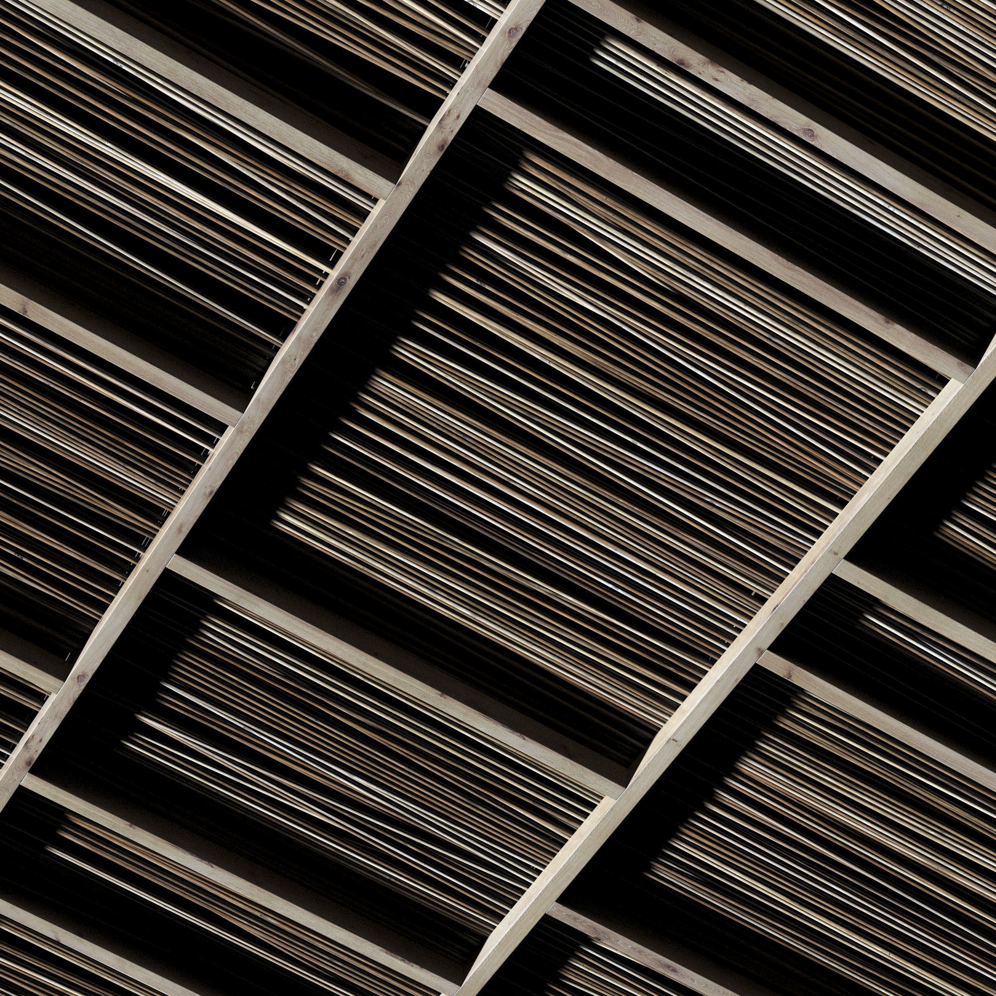 Ceiling straight thin branch n2 3D model_7