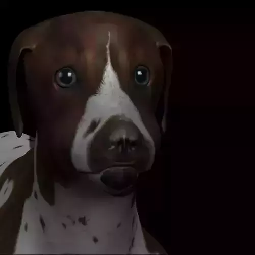 German Shorthair Brown pointer dog Low-poly 3D model