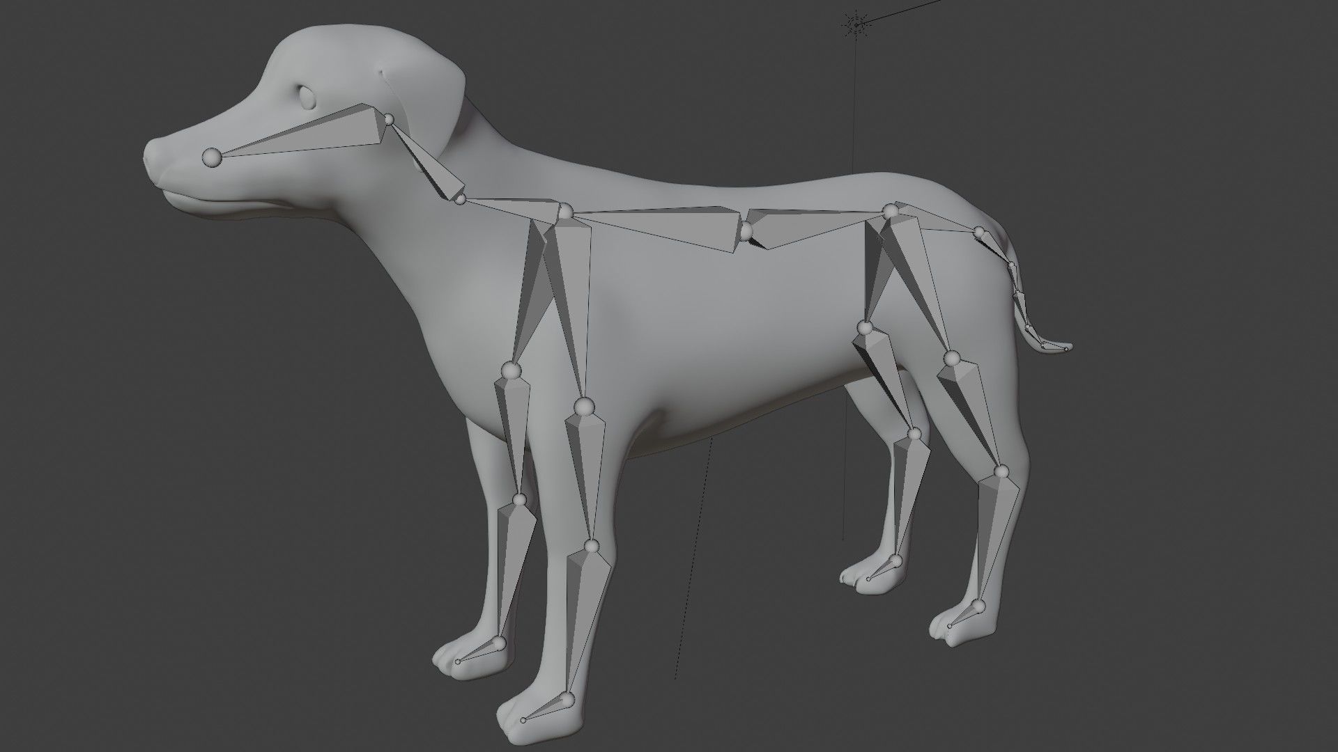German Shorthair Brown pointer dog Low-poly 3D model_7