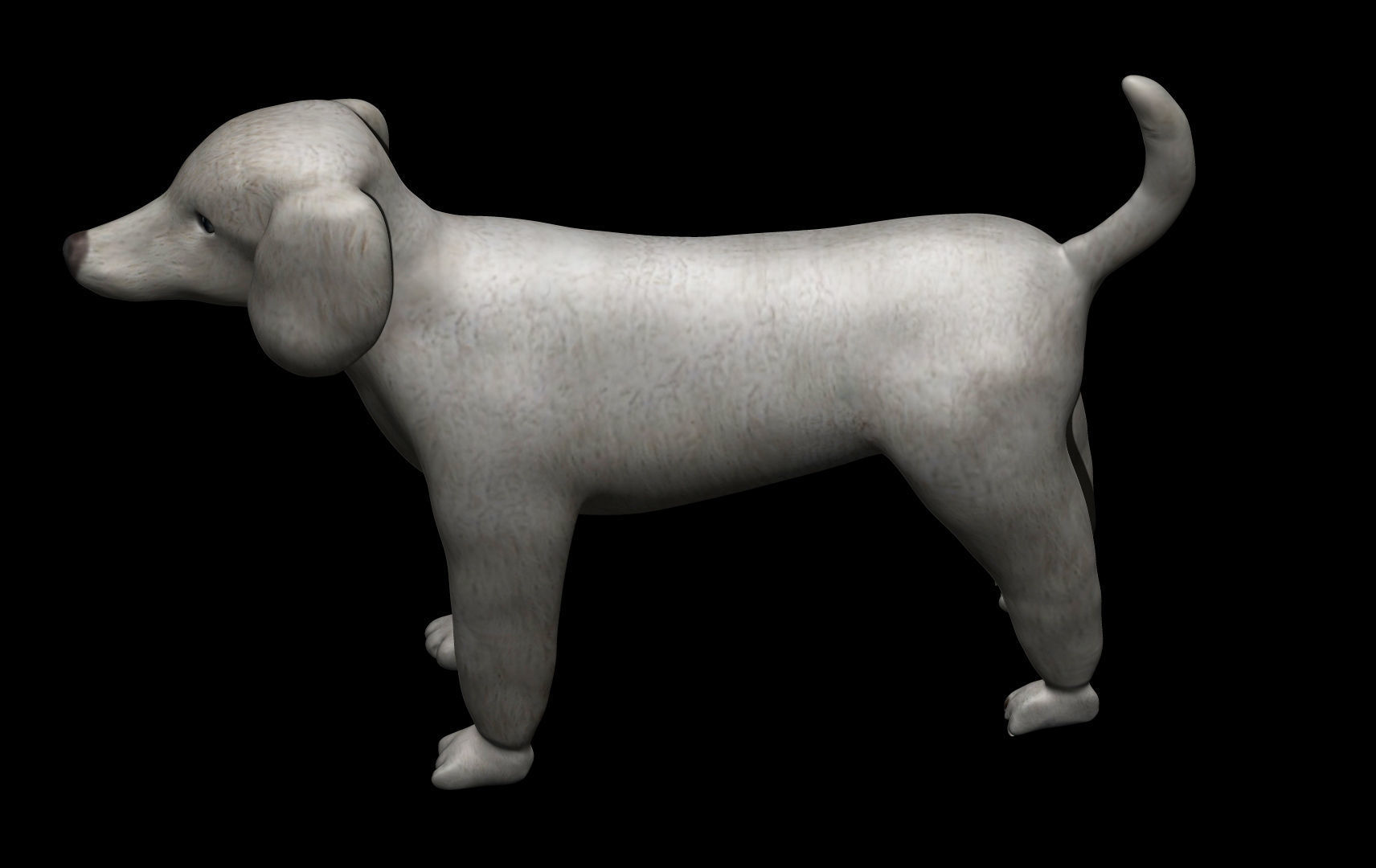 Poodle Dog 3D model_5
