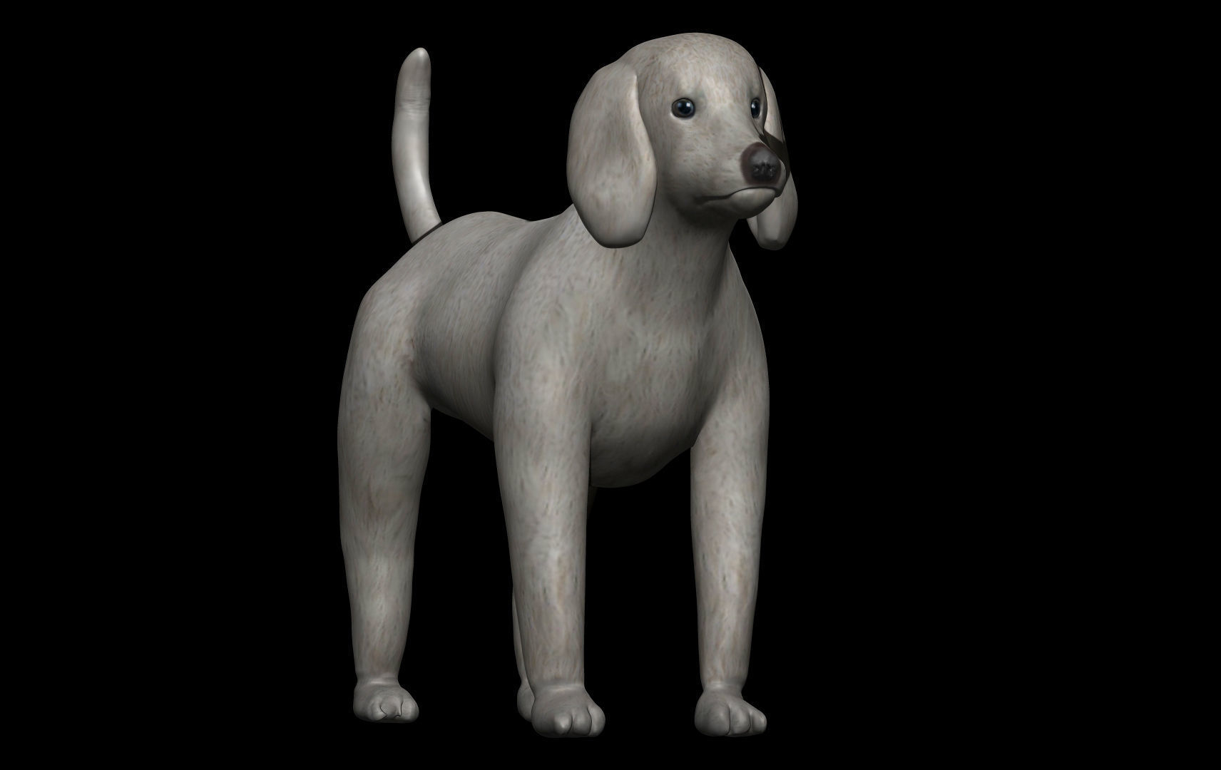 Poodle Dog 3D model_2