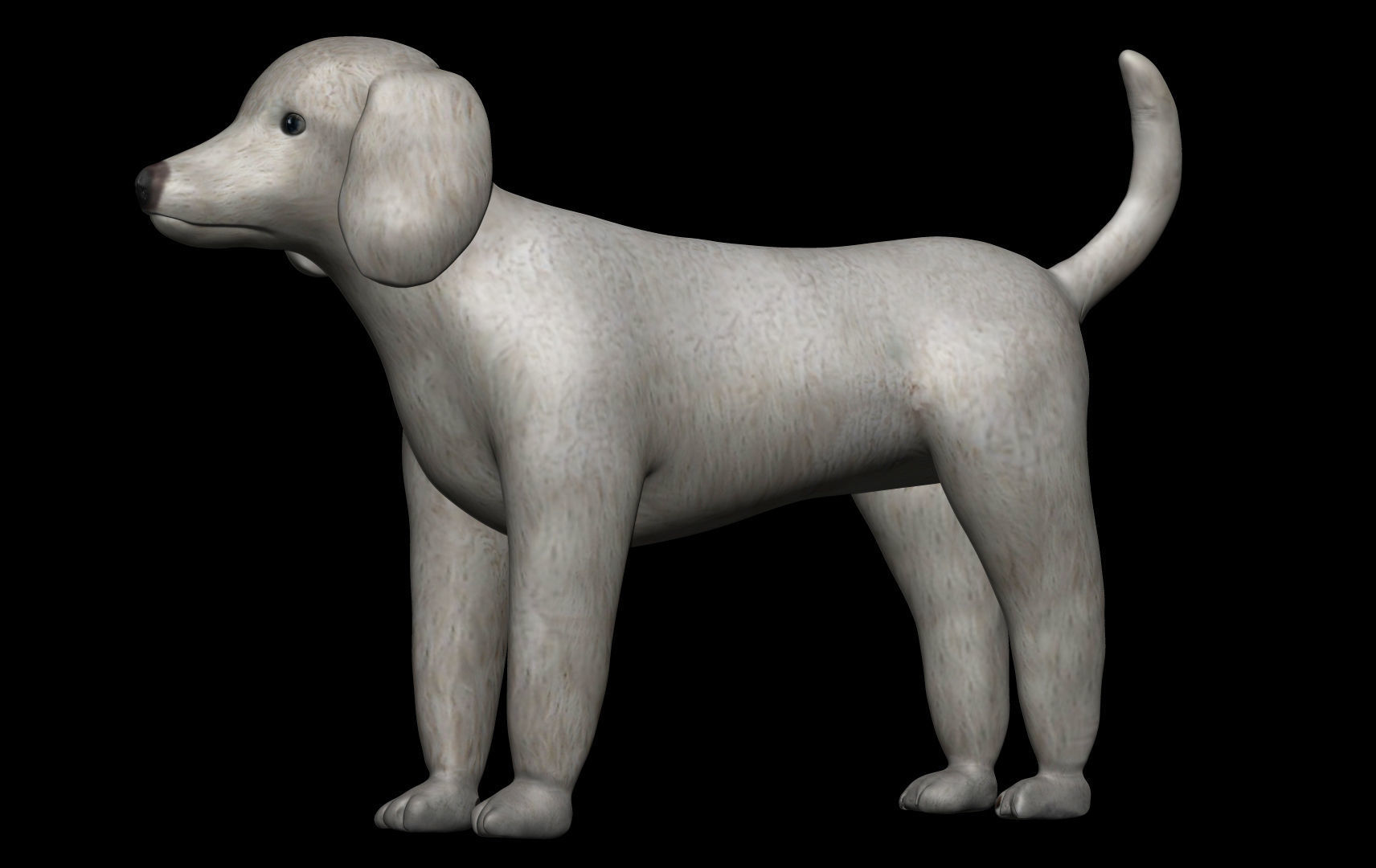 Poodle Dog 3D model_4
