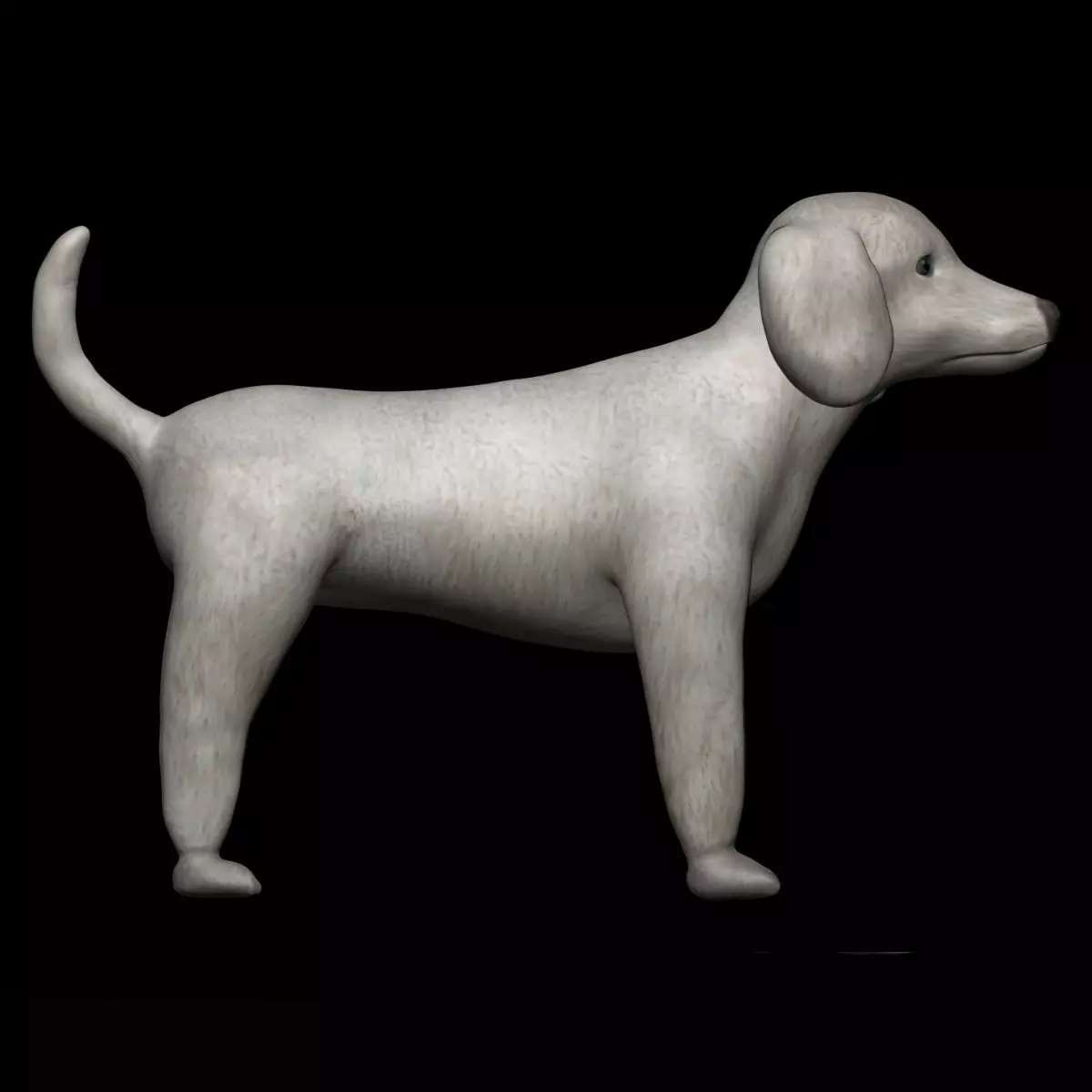 Poodle Dog 3D model_0