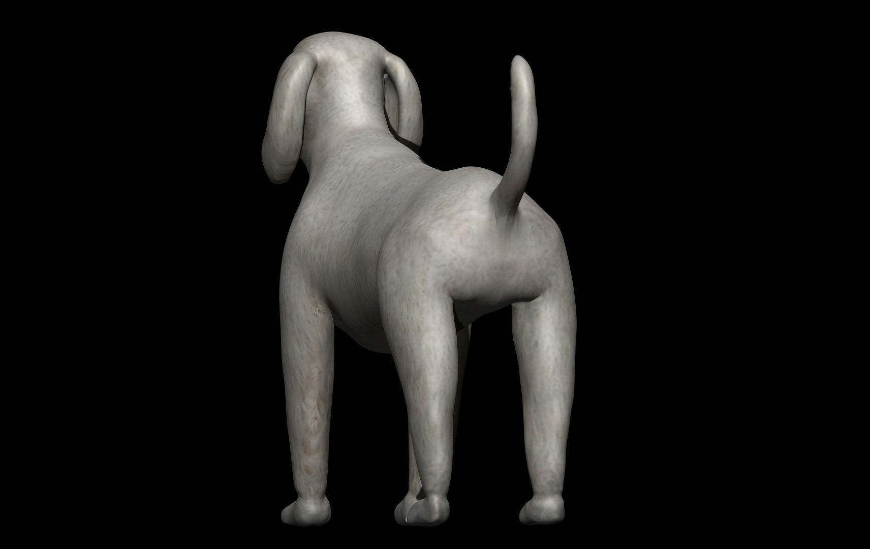 Poodle Dog 3D model_1