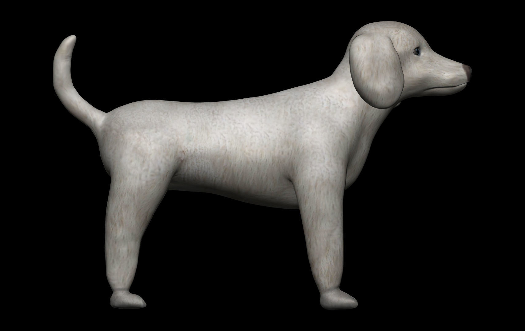 Poodle Dog 3D model_3