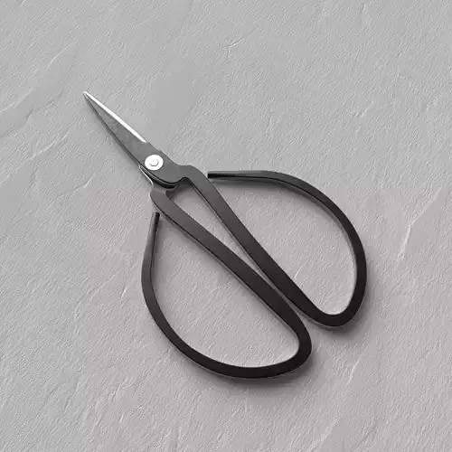 Traditional Chinese Scissors
