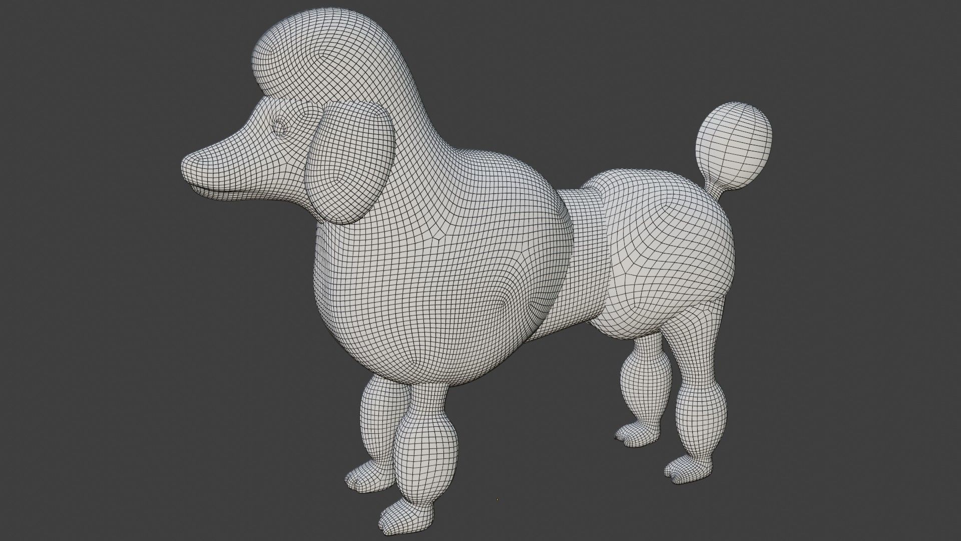 Poodle dog 3D model_8
