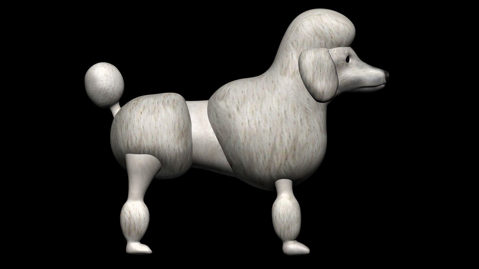 Poodle dog 3D model_4