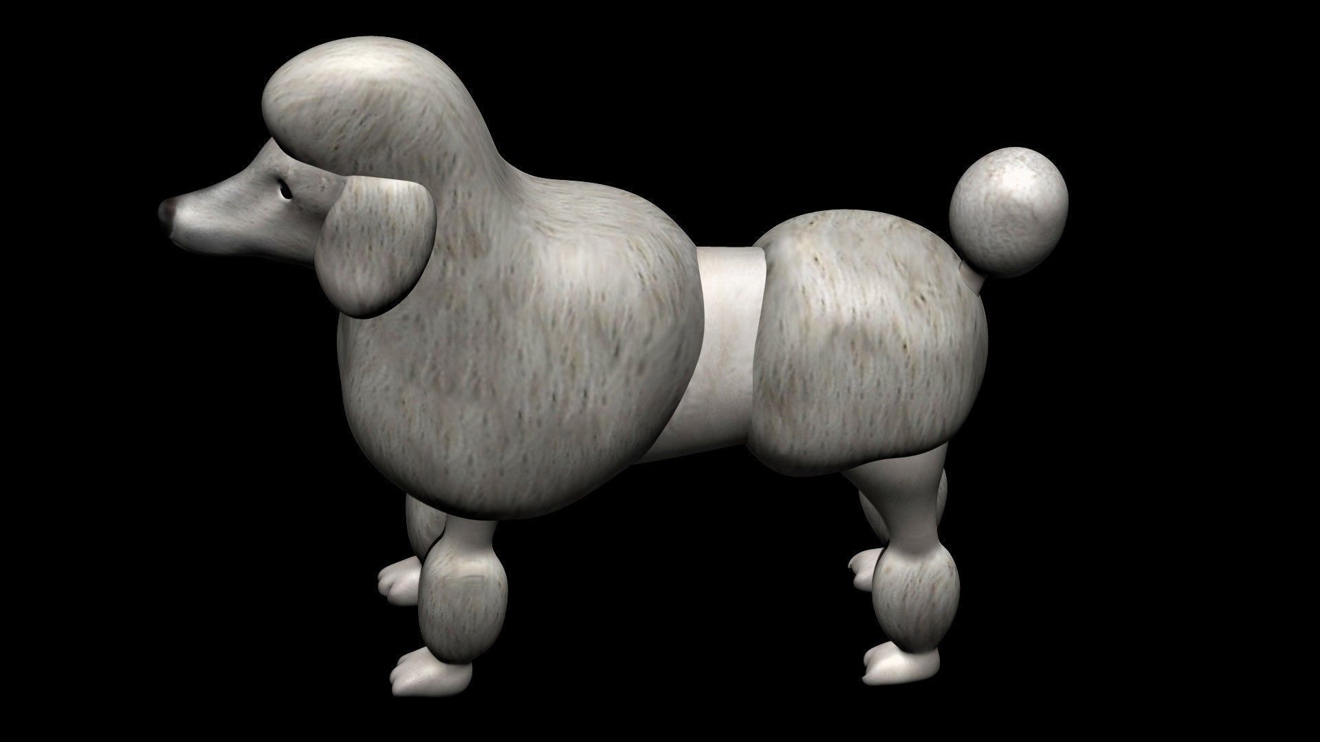Poodle dog 3D model_6