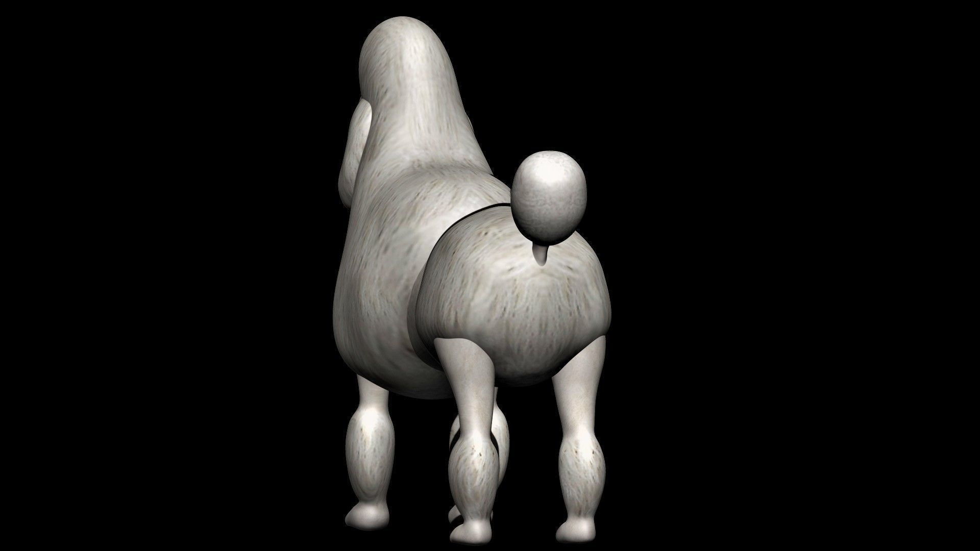Poodle dog 3D model_2