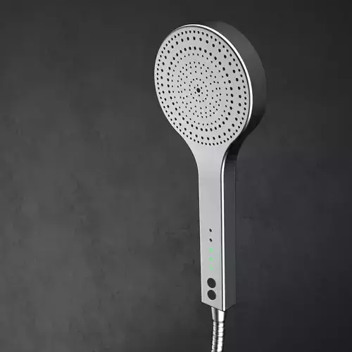 Shower head