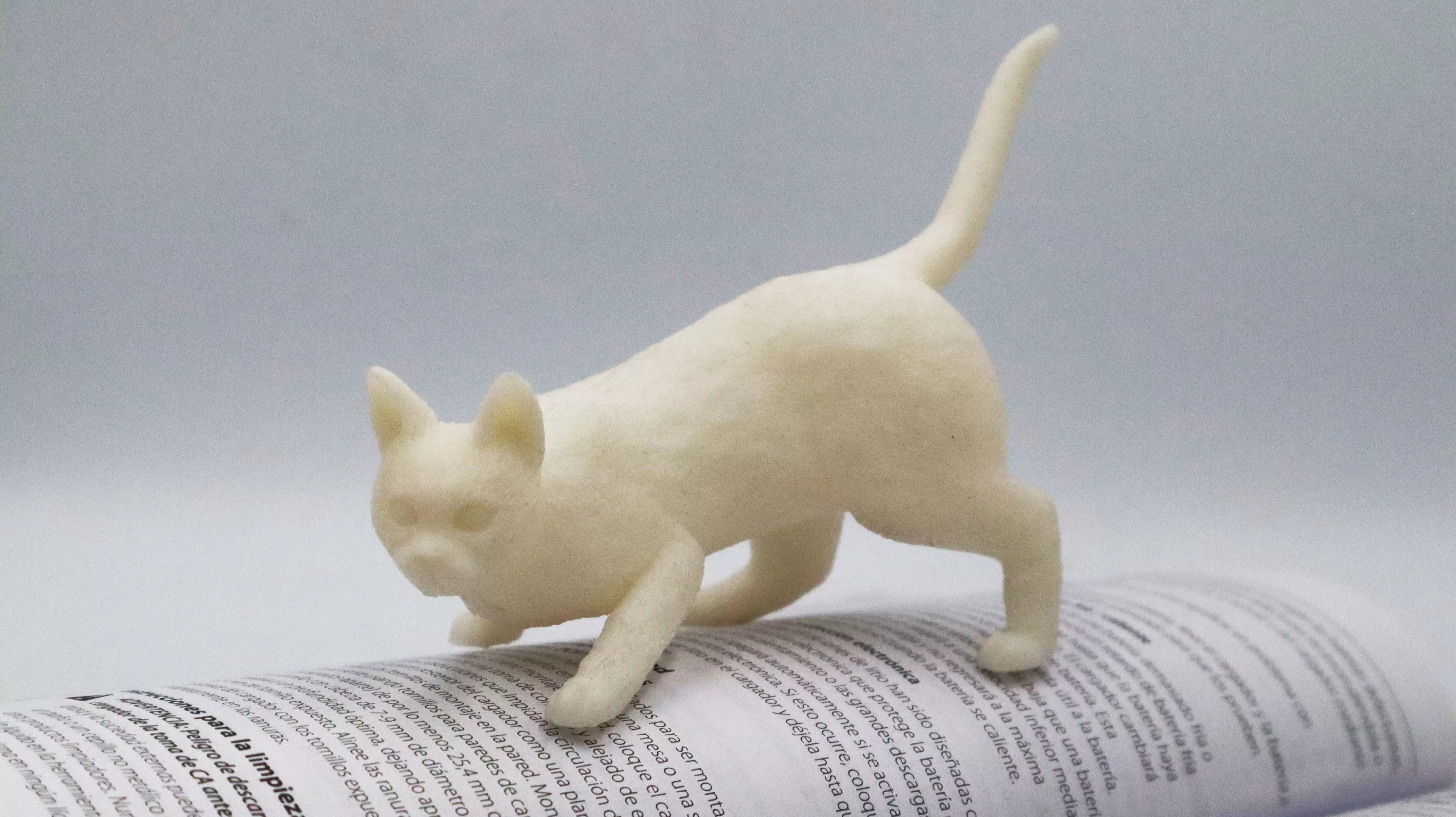 Cat Hunting Pose 3D Print 3D print model_0