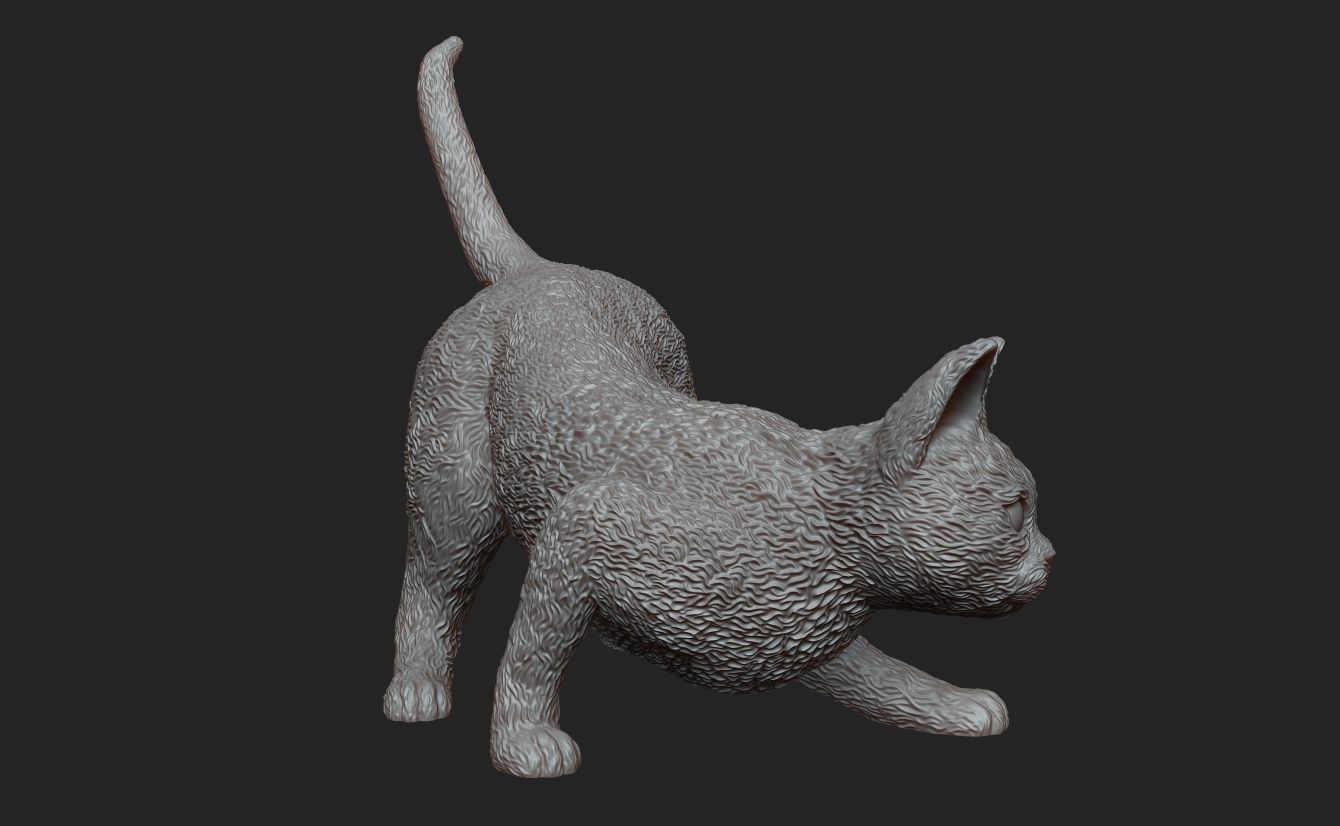 Cat Hunting Pose 3D Print 3D print model_6