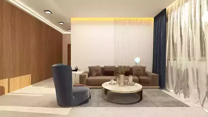 Living room modern 