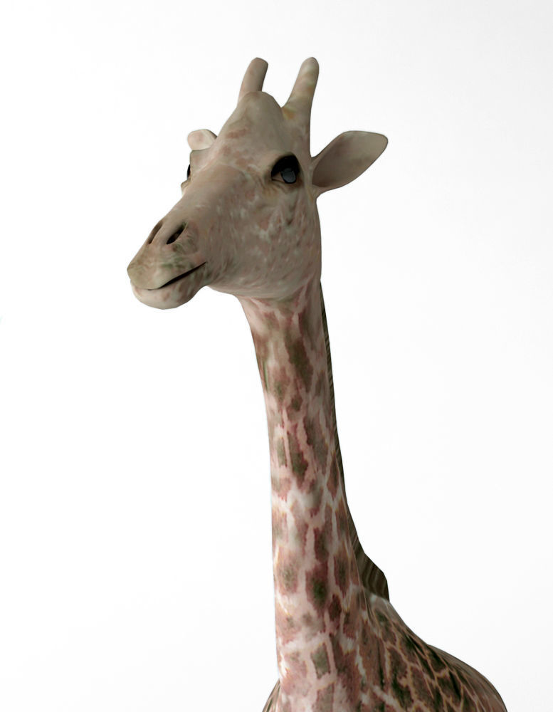 Giraffes full body Low-poly 3D model_6
