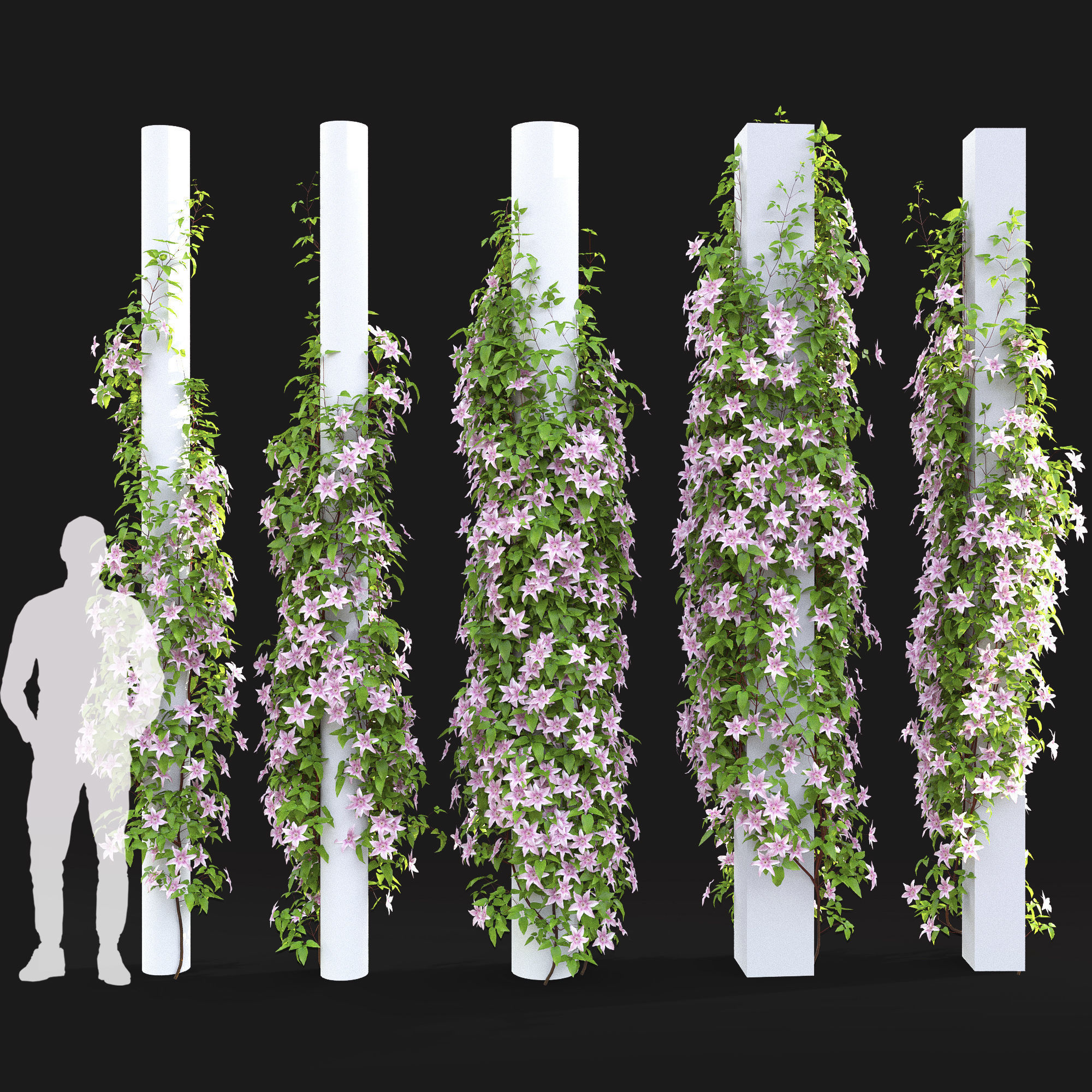 Clematis Pink Fantasy 01 3D model_2