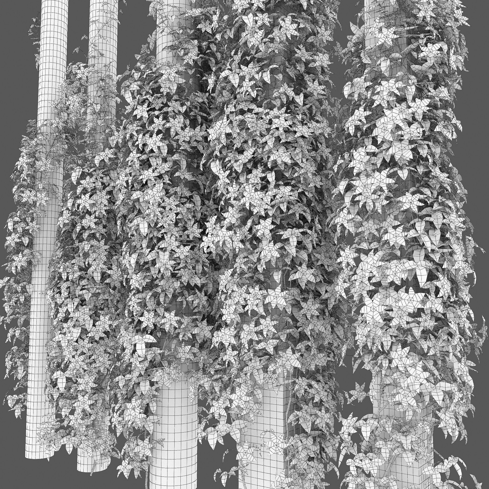 Clematis Pink Fantasy 01 3D model_5