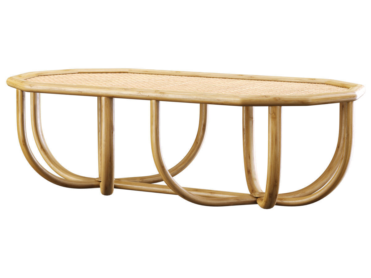 Spider rectangle rattan coffee table  3D model_1