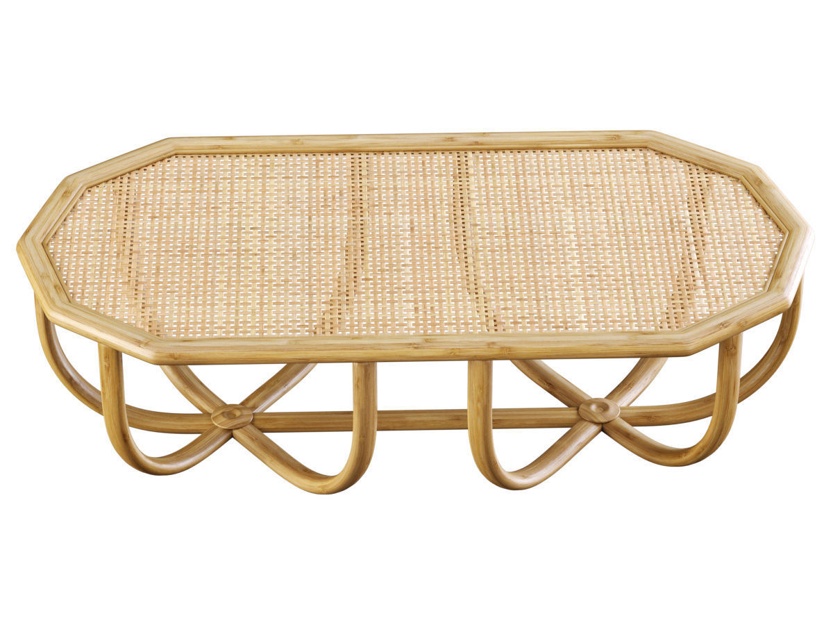 Spider rectangle rattan coffee table  3D model_4