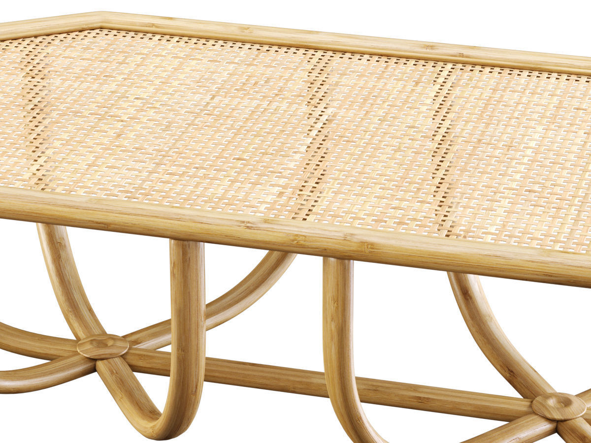 Spider rectangle rattan coffee table  3D model_2