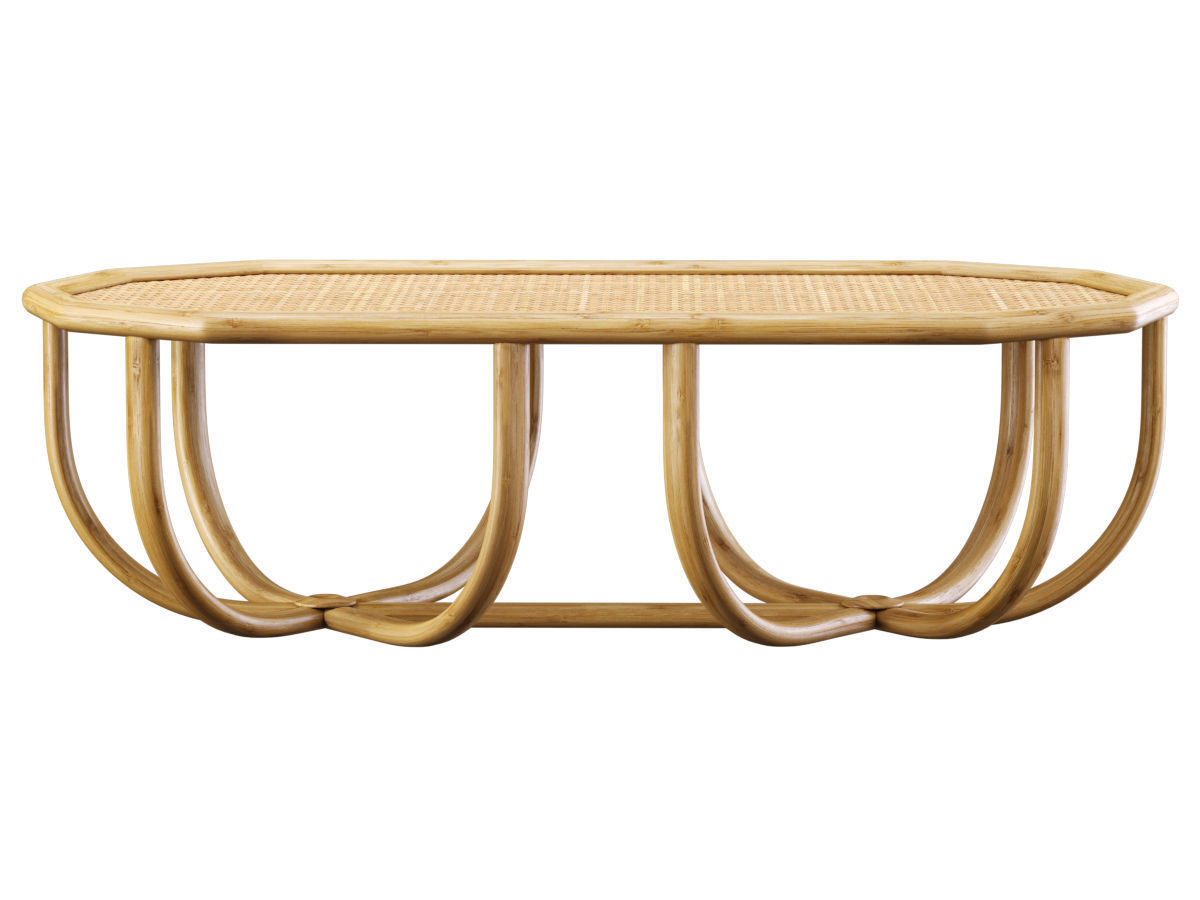 Spider rectangle rattan coffee table  3D model_3