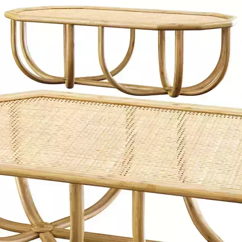 Spider rectangle rattan coffee table 