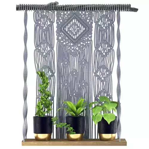 Indoor Plants in rusty Concrete Pot with Macrame 
