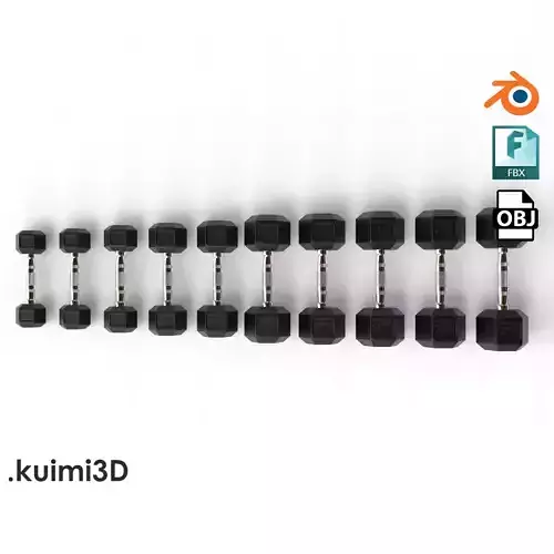 Gym Dumbbell Set 002