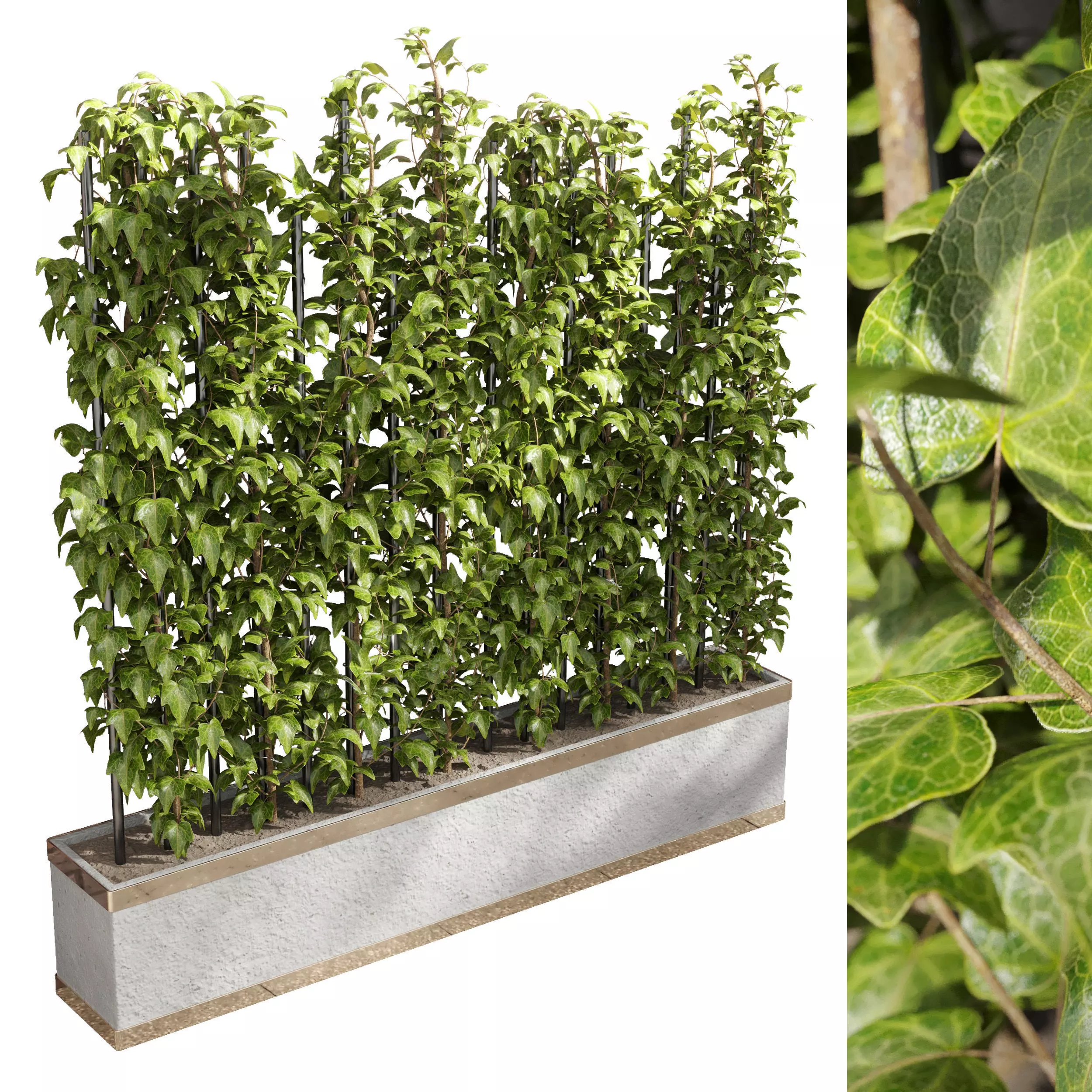 ivy parttion wall vertical garden set 03 Low-poly 3D model