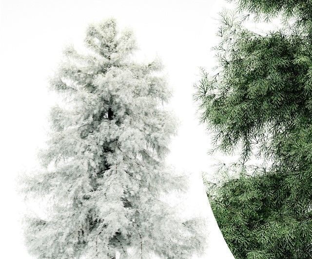 Spring to Winter tree collection 1 trees Models in the scene 3D model_2