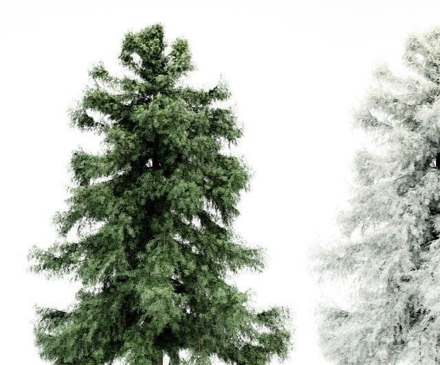 Spring to Winter tree collection 1 trees Models in the scene 3D model_1