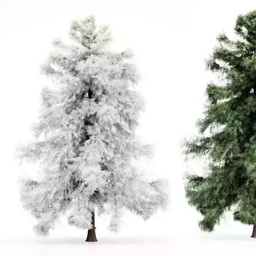 Spring to Winter tree collection 1 trees Models in the scene 3D model