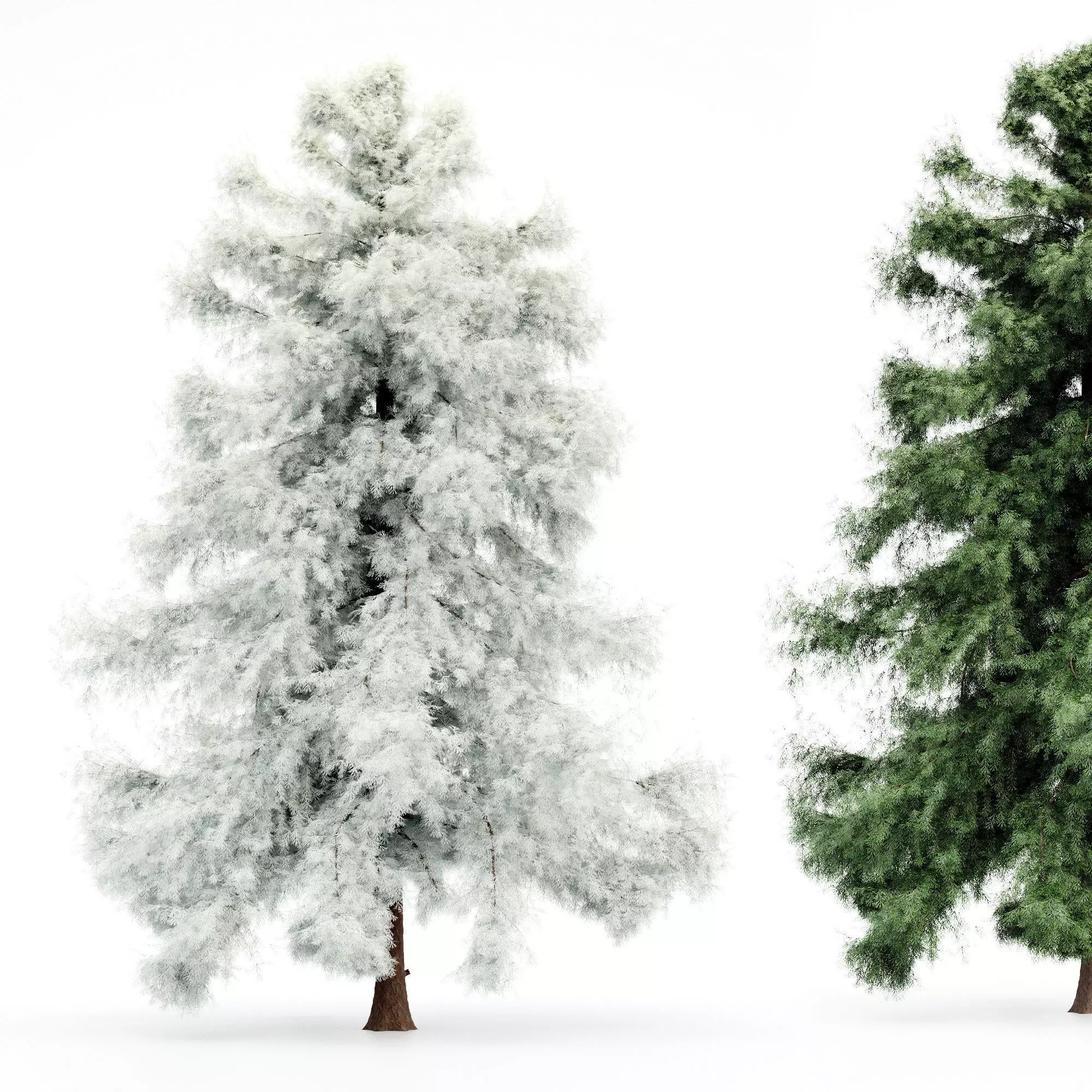 Spring to Winter tree collection 1 trees Models in the scene 3D model_0
