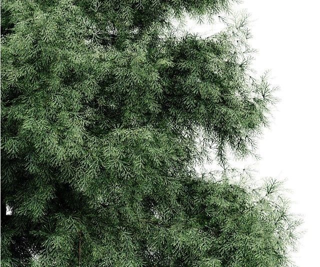 Spring to Winter tree collection 1 trees Models in the scene 3D model_3