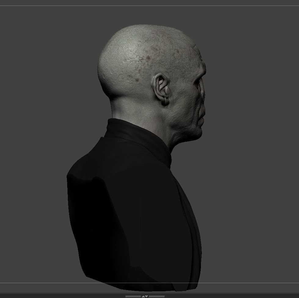 Lord Voldemort 3D print model_12