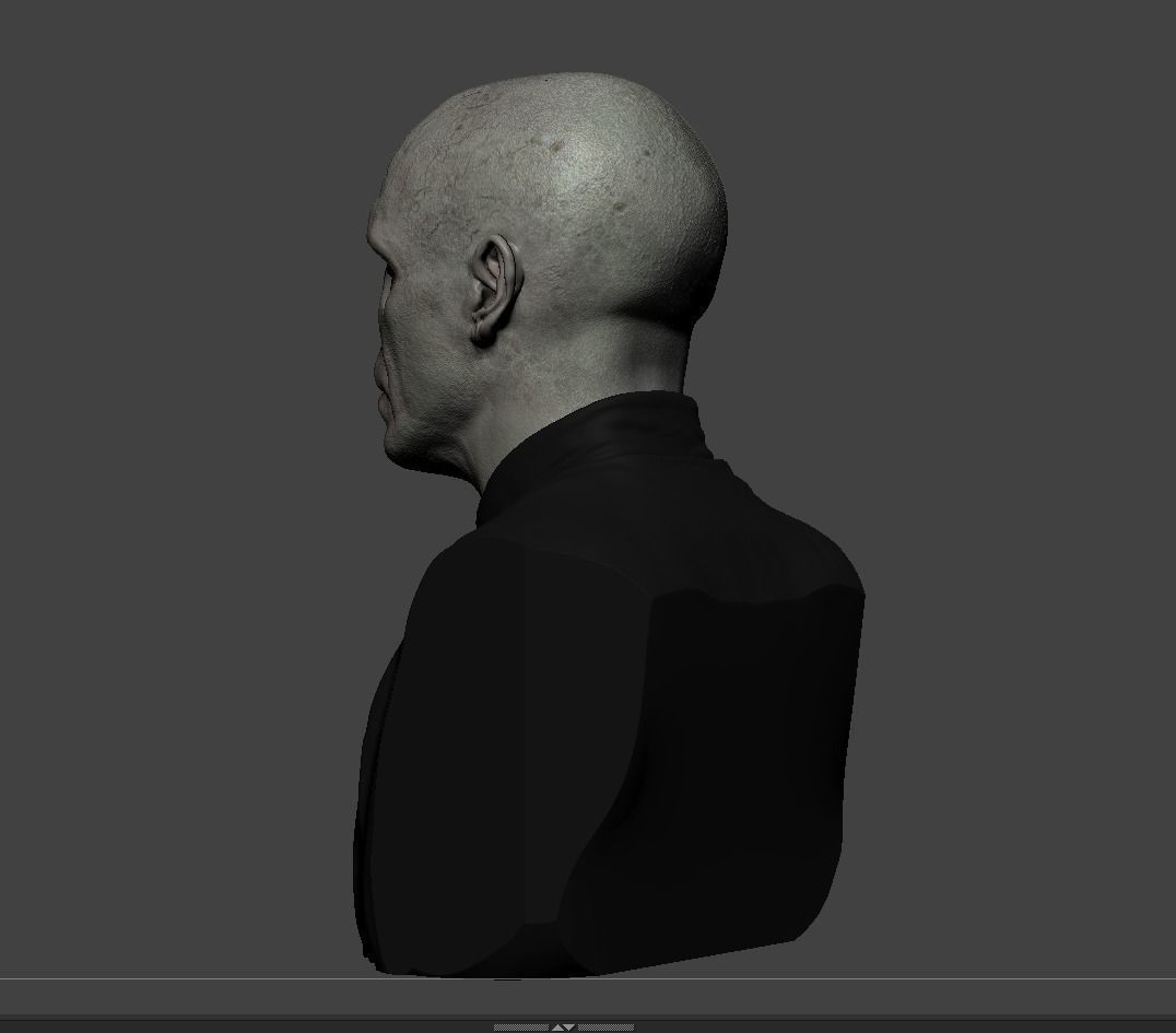 Lord Voldemort 3D print model_10