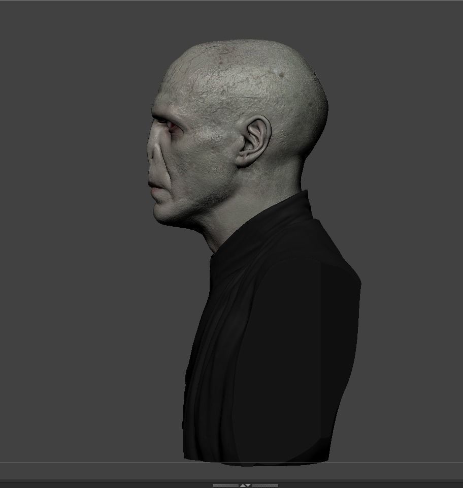 Lord Voldemort 3D print model_9