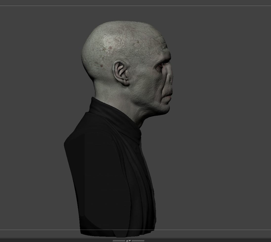 Lord Voldemort 3D print model_13