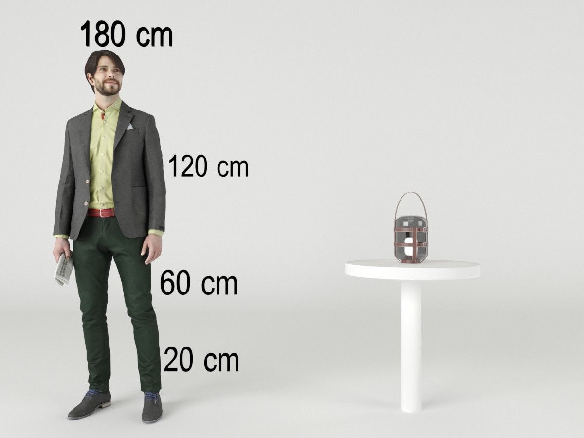 Firefly Lamp De Padova 3D model_7